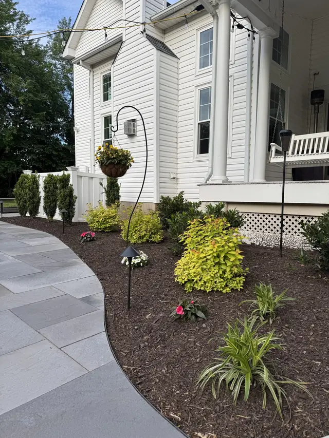 Blue Tree landscape planting and a curved path beside the porch of an Upper Providence Township home.
