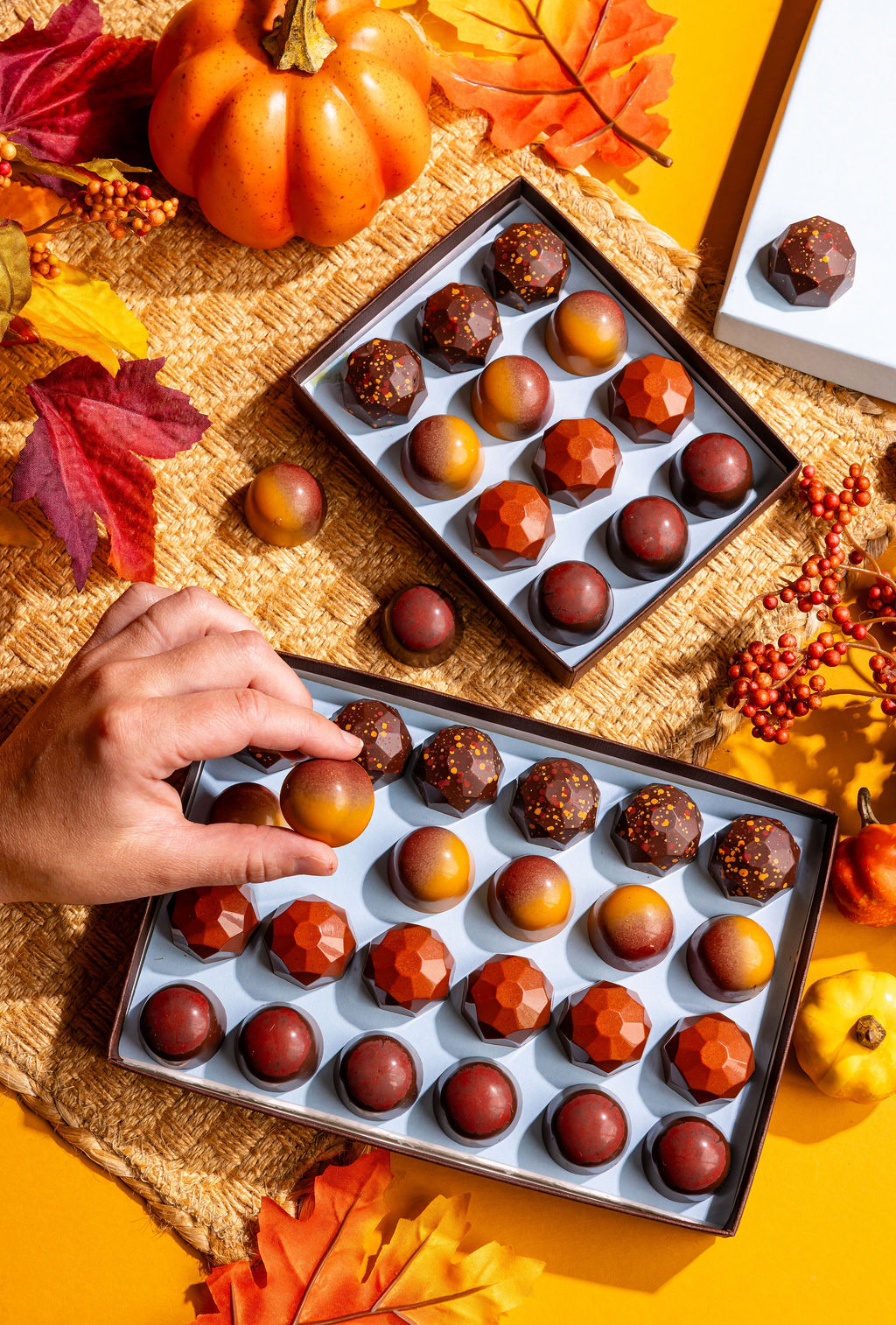 A hand choosing a Fall Caramel from the 24-piece box, with the 12-piece behind it.